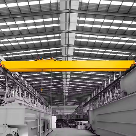 Customized Double Girder Workshop Crane for Sale