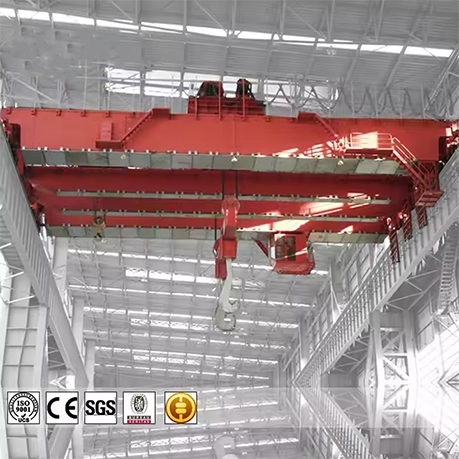 Double Girder Heavy Duty Ladle Crane